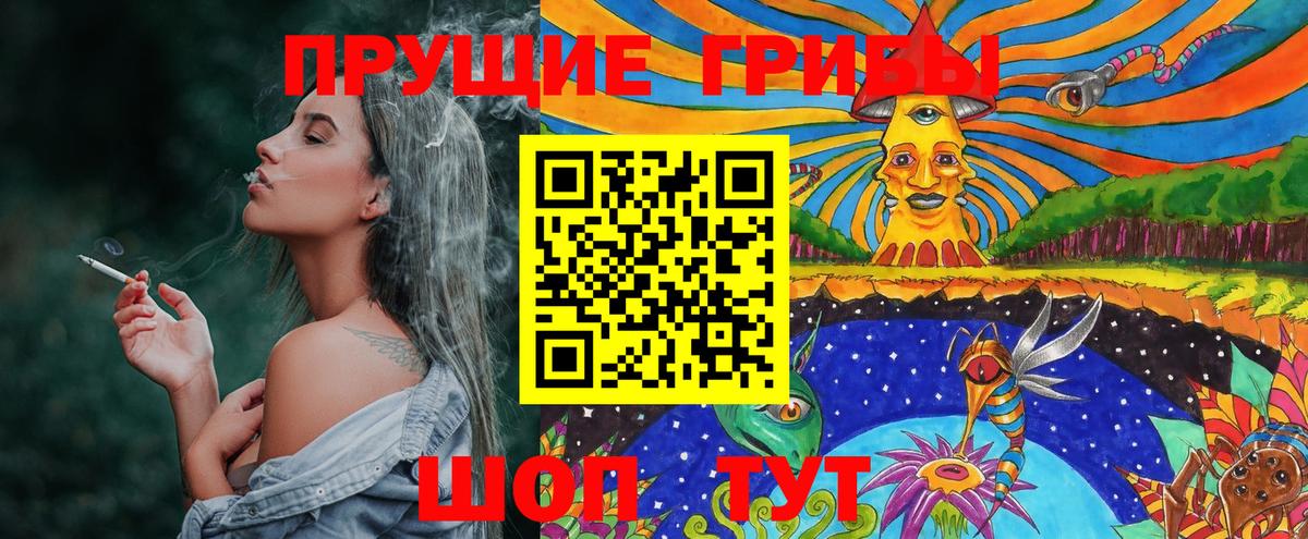 купить наркотики сайты  Галлюциногенные грибы Cubensis  Вход с VPN  Курган 